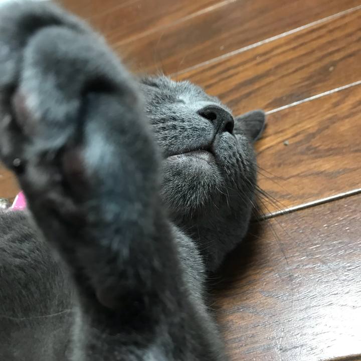 18745367 4578 4d98 a995 437fcb48a199 1533355943916