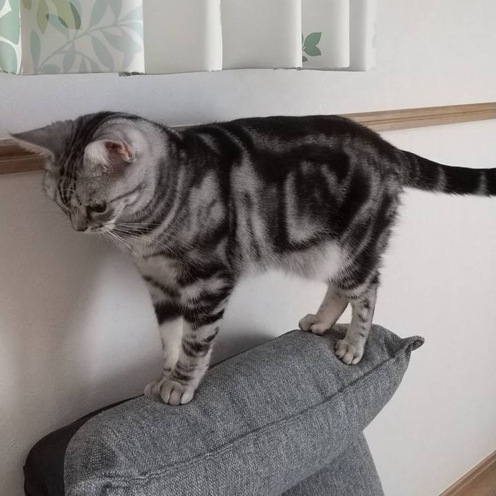 187487a6 cd69 4e56 99bf 89e1114600c5 1633517944568