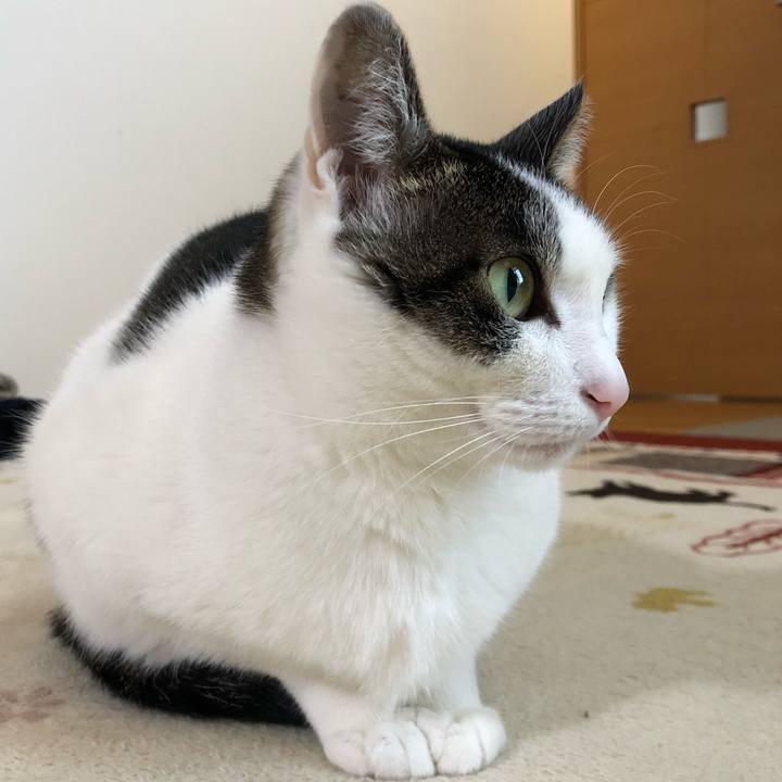 18749497 1e24 4bb7 8827 4e49348cbb0a 1708124767713