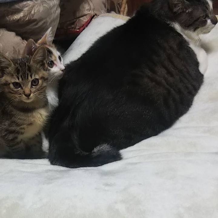 18749b4e ad6f 426e a66f 01cf4611f854 1635150148908