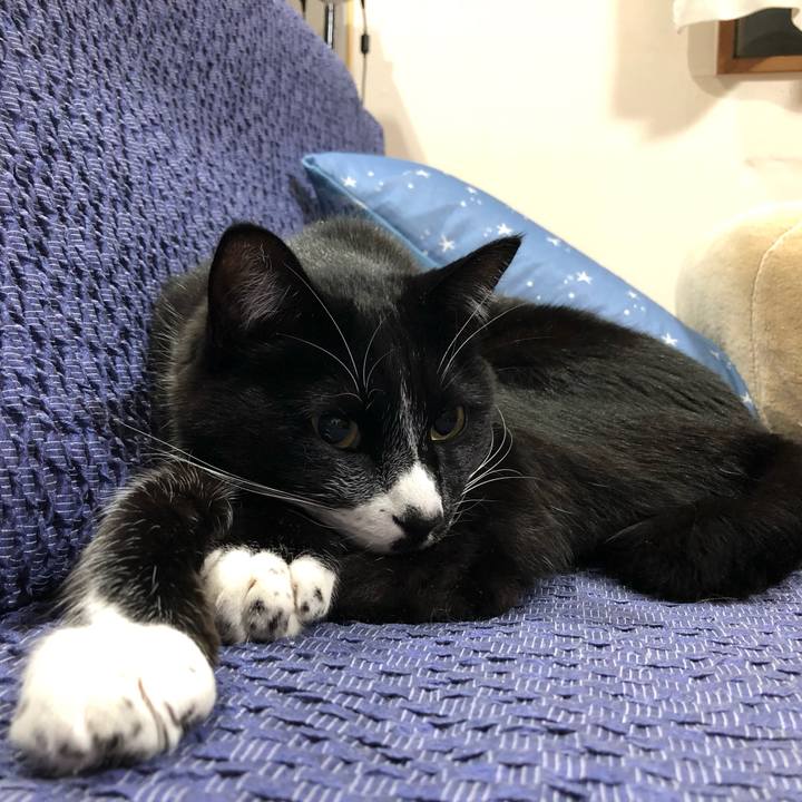 1874c95e 5008 4753 86ca 0ac4afdc2ba9 1646710854193