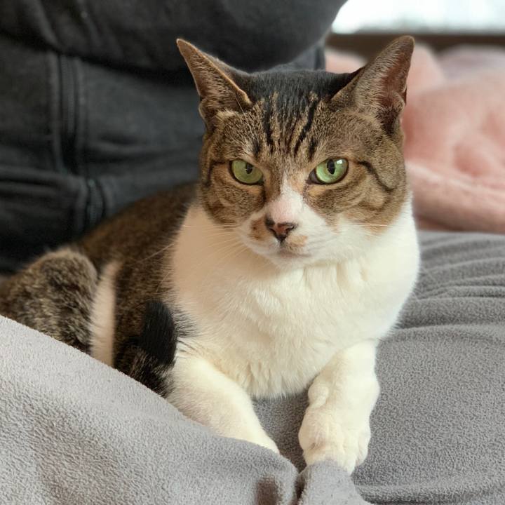 1874e369 32f2 46f4 a2e5 4b9a72e8775c 1550451644376