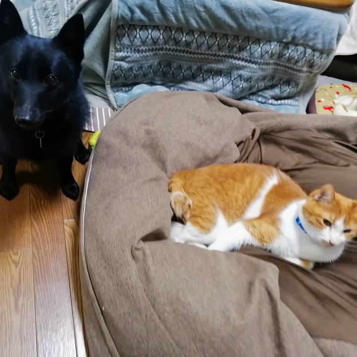 1874e5e6 1f48 4c5f 92cc 00b4d10e2d9a 1638014916286