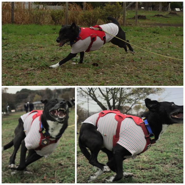 18752c4b 2fd9 485c aaf5 8964583f4bf5 1669859552405