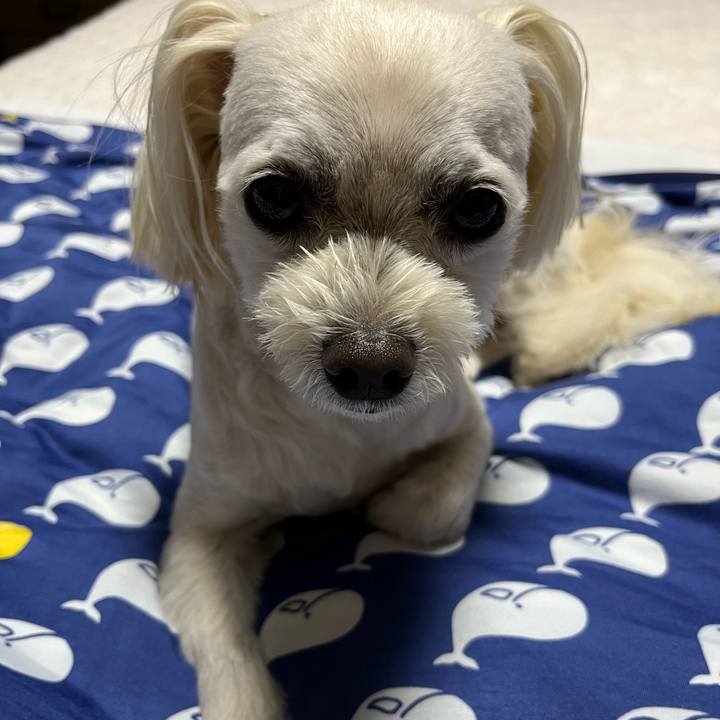 18755c12 d7ee 4b80 a3f7 a0b4f9ec9297 1686659810942