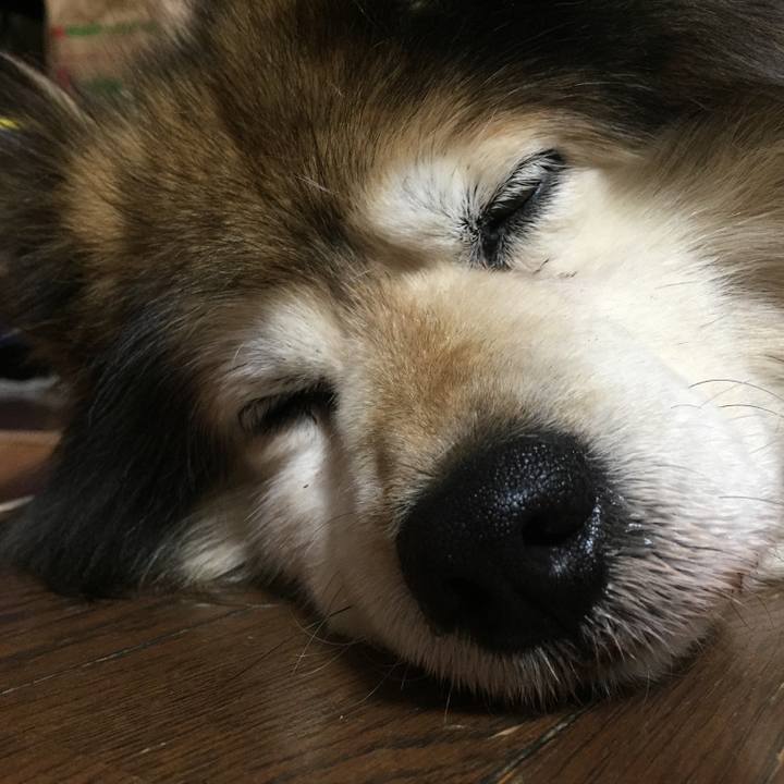 18755d8d 66ad 4a3b a233 3b280294aa8f 1603753910097