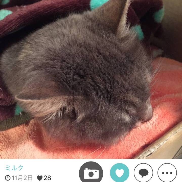 18756938 d996 4ee8 8d2b d0712714368b 1511691129788