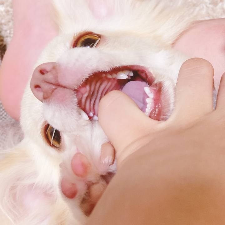 18756fbd cc09 4f09 af80 c6910705348d 1623932193786