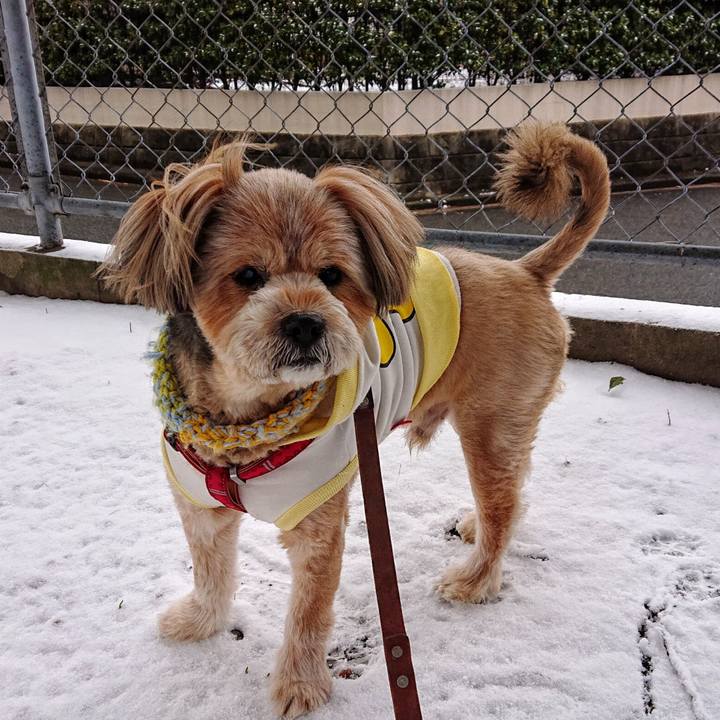 1875cc0b 4b21 4866 963b 503b77a89719 1634529161735