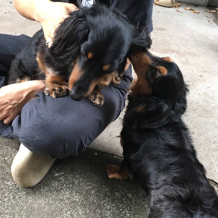 1875cc3e 156c 4f8f 9438 e7724d575b6b 1527757502656