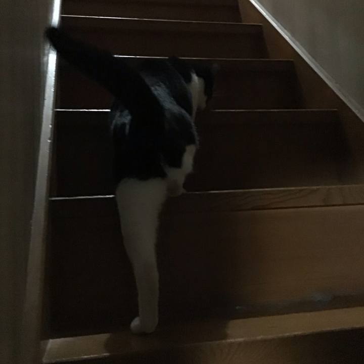 1875f3b5 fddd 4045 82cc 36ba2e6b36fe 1679484587300