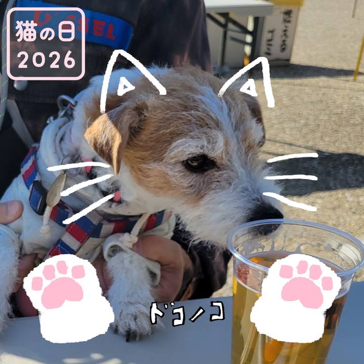 18760037 19e8 4709 841e ec3cb11741ee 1771747948975