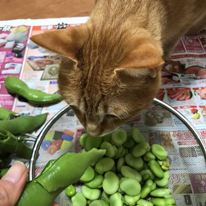 187601fb 1182 4e06 96b5 a8b58d2310bf 1523415982855