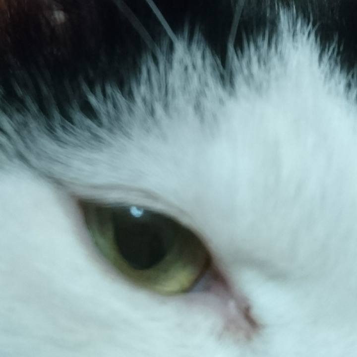 18761b36 c8e9 4538 8587 fd632951bb39 1523532323824