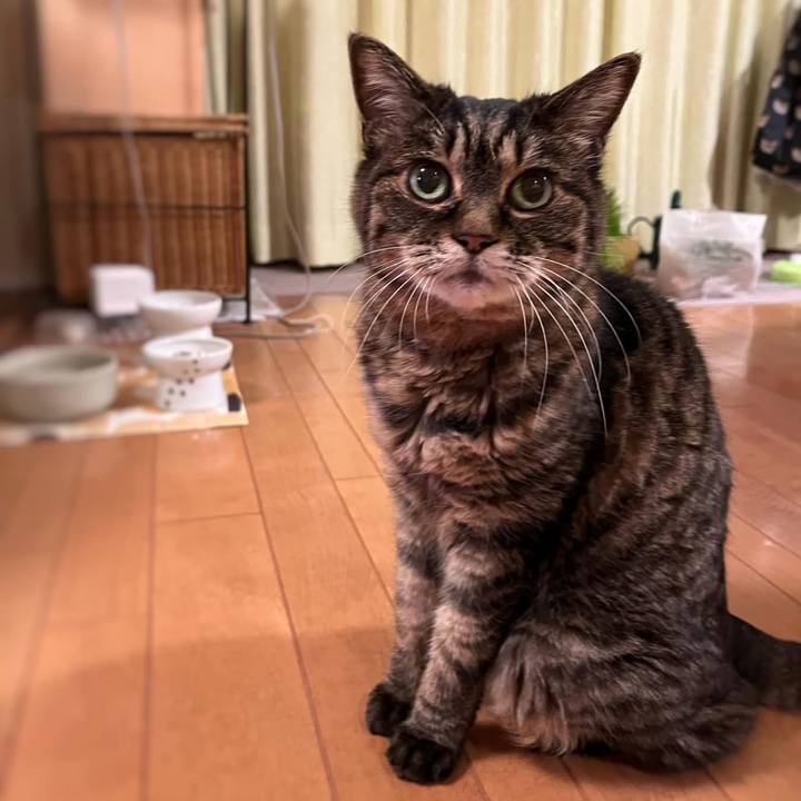 187636d3 dc80 4885 a3e9 56d1166b3ba6 1768623571942