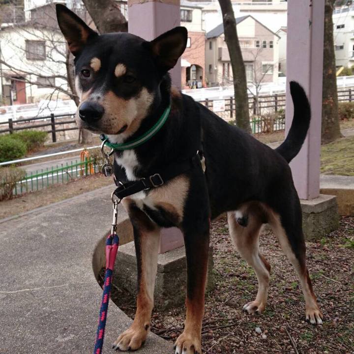 1876817a ecc8 4498 8ead a22d0c3e7caf 1519015970064