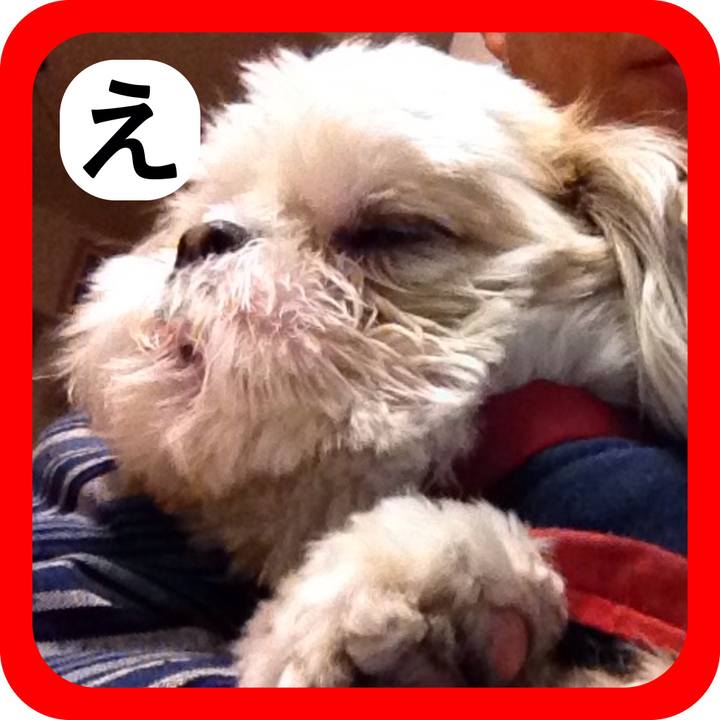 18768972 5b1a 4ae7 af94 c46a61158206 1515189990242