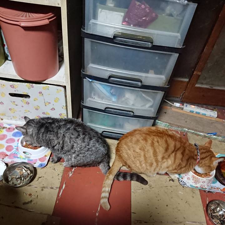 1877256a 2e72 4d13 886c e8e19b674236 1573588460585