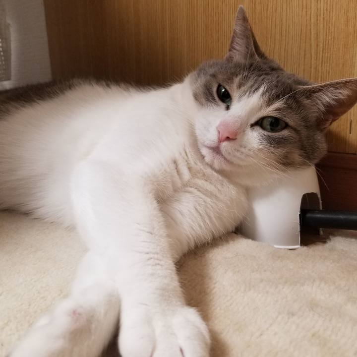 1877313f ef6b 42aa b88f 29cddc0c3aea 1615376324920