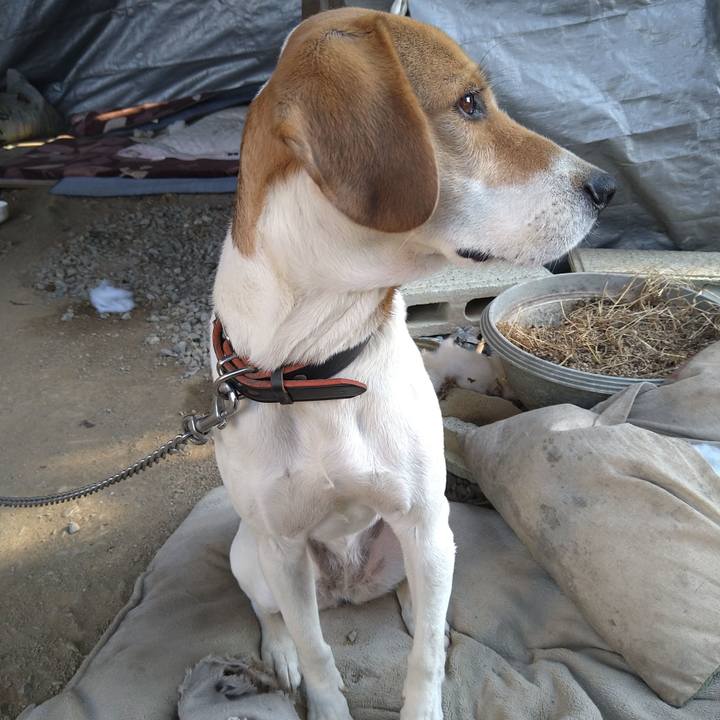 187741d5 32d0 4437 94f9 3f5b90234526 1638170950377