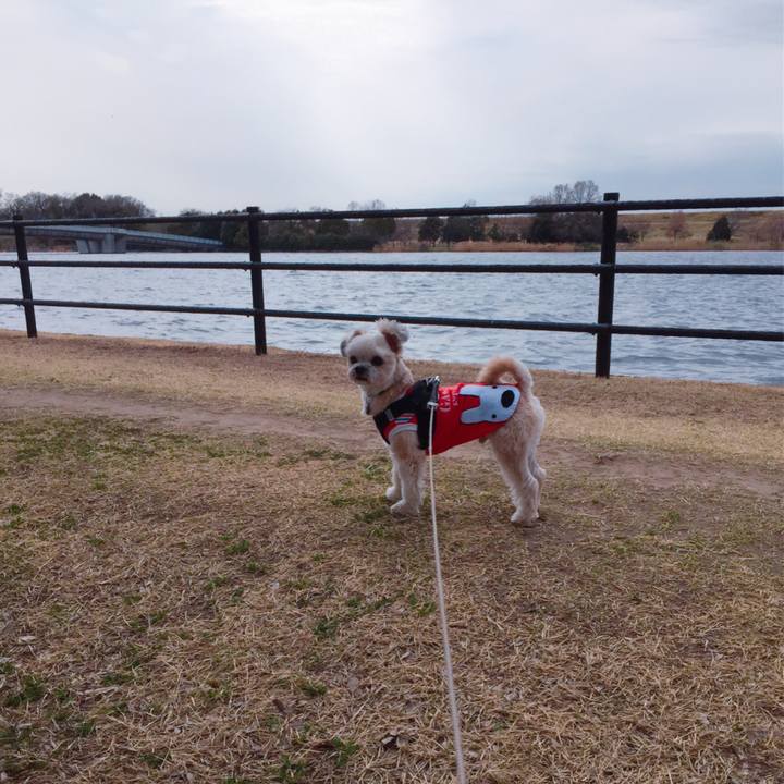 18774817 79c6 4a58 b641 c9f756984709 1553237921110