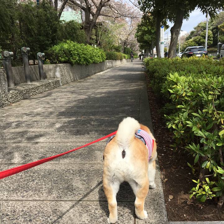 1877560c 2e42 4aa0 9997 1ae4795efeb1 1585287508285