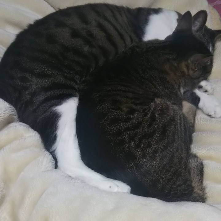 18775685 fa03 409e 8068 cca34020952e 1617023810720