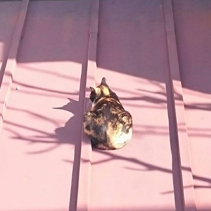 18776b86 08f0 4e4a 9f82 9c8d184a81b0 1520035768416