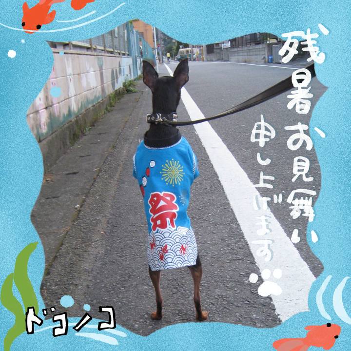 18776c8c 96c6 4fa3 a34d b59138b5178f 1723512725605