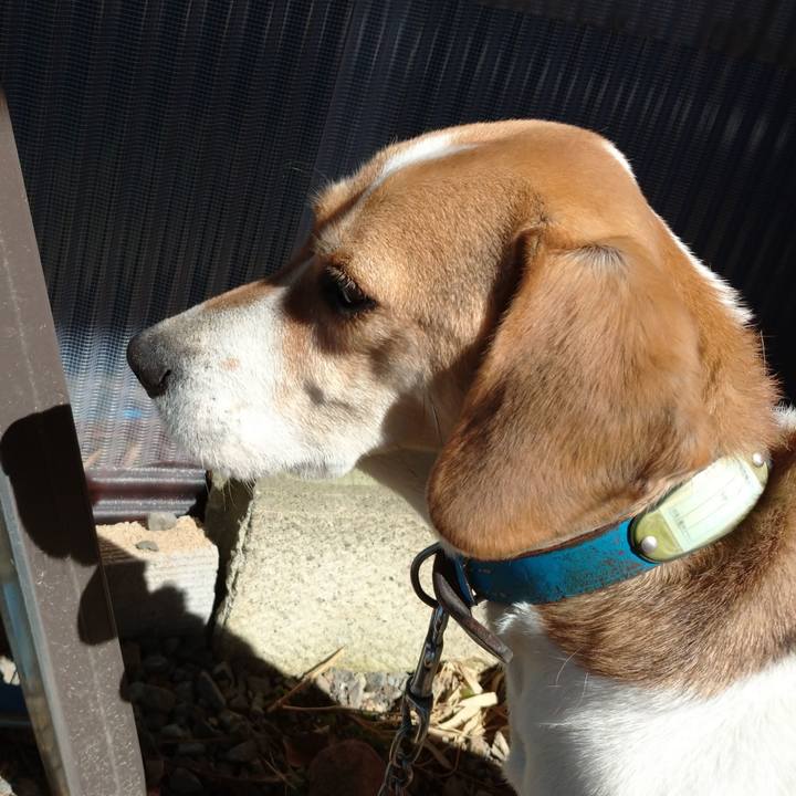 18777d81 c042 42f7 a393 0f1df846c016 1614750968604