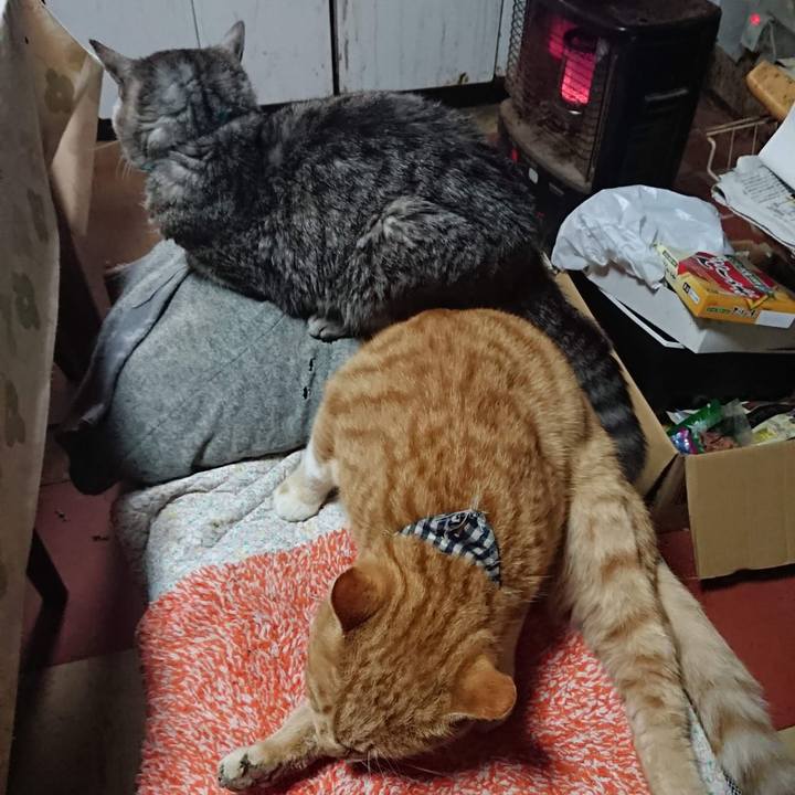 1877b01b b616 42ad bbb0 2447b98b5623 1606078590860