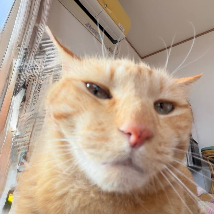 1877bb9e f9f0 4748 a191 afb4ad5dbf42 1772763231075