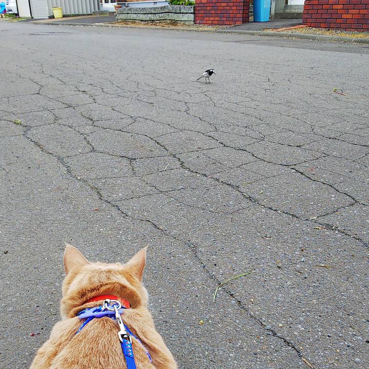 1877c11b 6aeb 45aa 81b5 54589c443a16 1590387877272