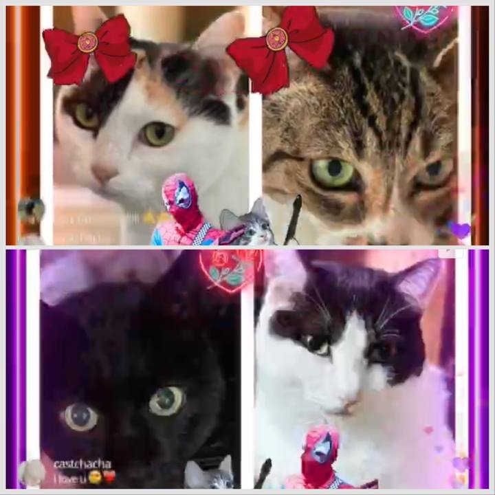 1877c5f5 3d4a 430a ad6e 73aaab26f24d 1672658316412