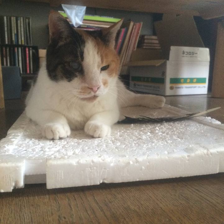 1877c959 4a9c 4c75 97c6 6d02aff81929 1532048868993