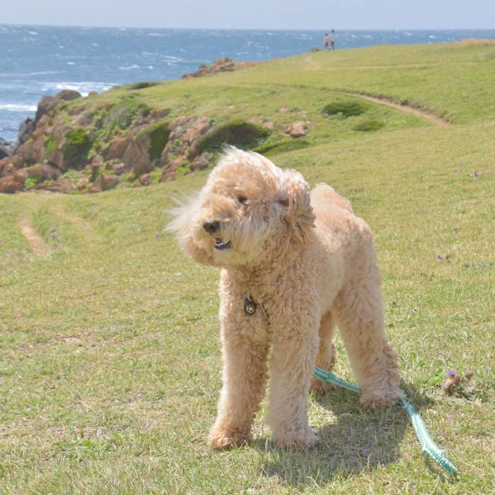 1877cd96 99c6 4c43 a0d8 7f1bb55adffa 1527063834713