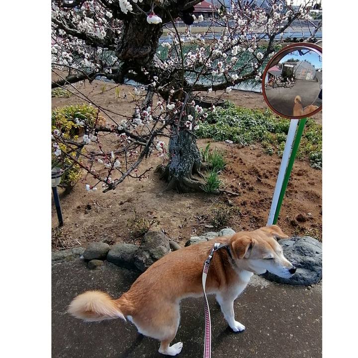 1877e44d e1f9 4909 adff e1a4807e5ecf 1580957749392