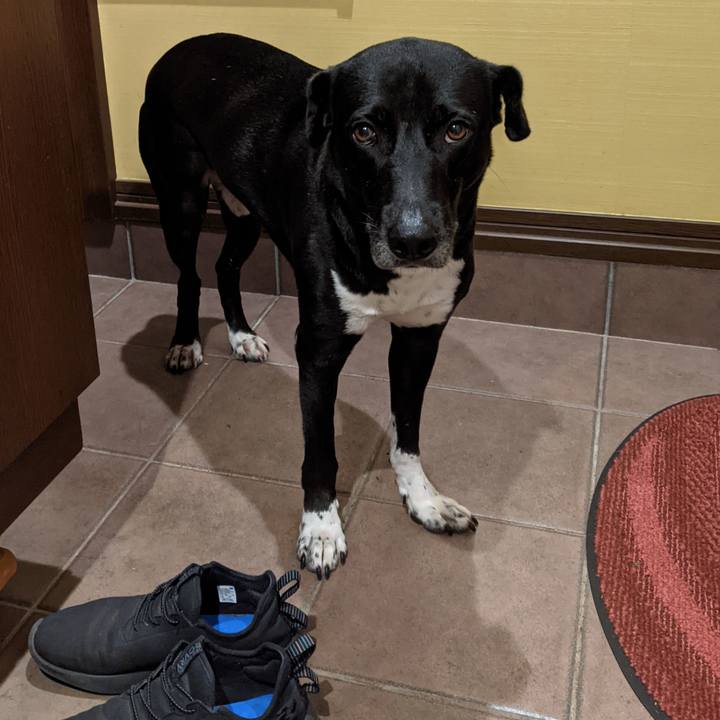 1877ec6d a966 413b a091 0169db5e0e91 1631493431038