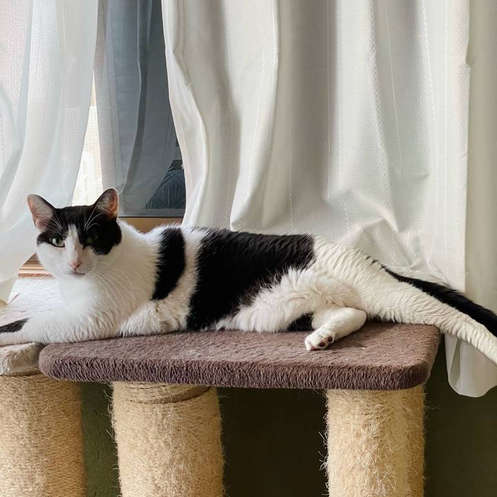 1877eede 5b52 4965 a89f 1779cd62fc5a 1636859358066