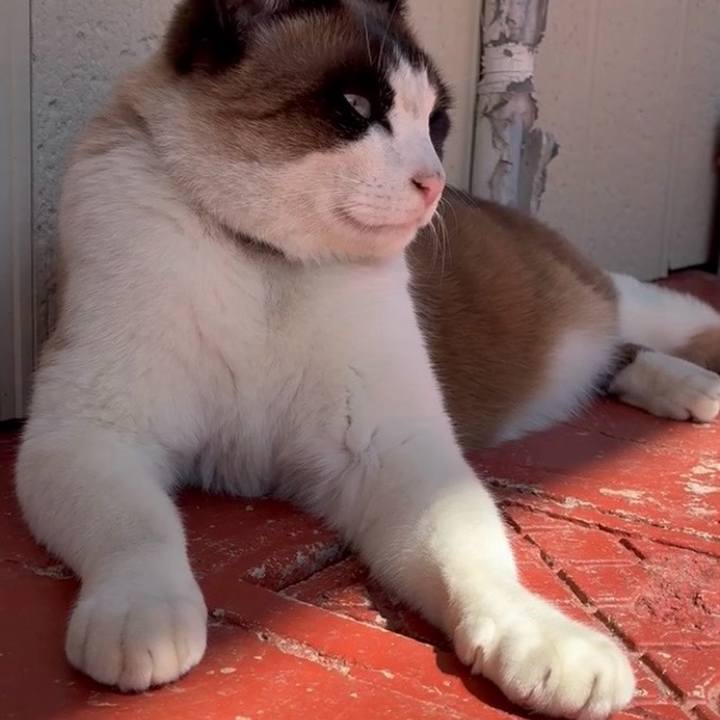 18780ee7 d633 41a2 84d8 ea2f65c441b7 1774098336512