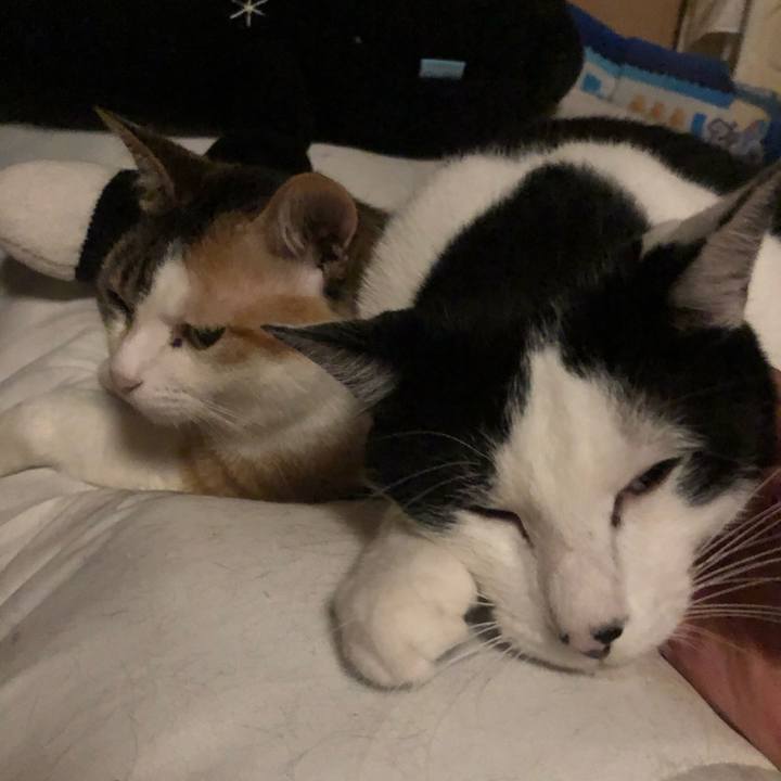 1878887d f60f 4435 b83e cf41a5cf9209 1592067673076