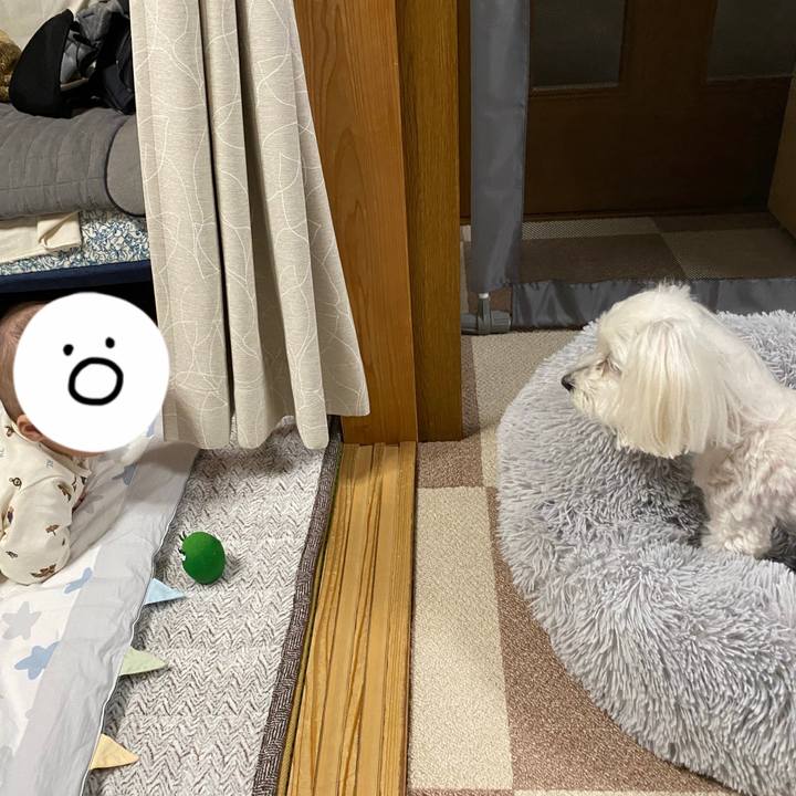 187893ab 8c2e 4619 ba8f 0a52fe4cd01d 1638188188744