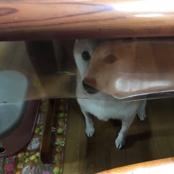 187899c3 7485 4ad4 8411 234e1d755453 1540853600326