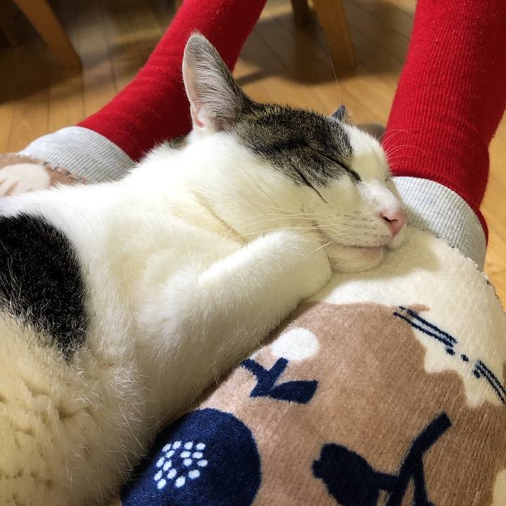 18789b49 4bbe 4750 a415 165825e80210 1673270951806