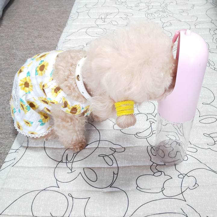 1878bb5b 3fcf 412b 84a8 2a083c8f9e8f 1566549302407