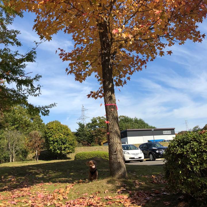 1878c5c7 6acb 411d ae2b 661834ba3972 1540517289222