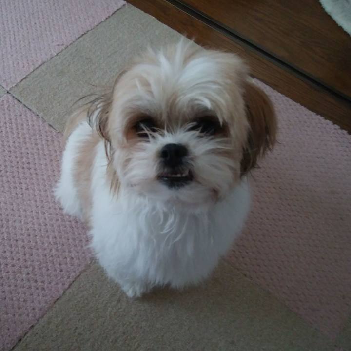 1878e15e 189d 4312 b7c5 cfadab251da2 1512381568752