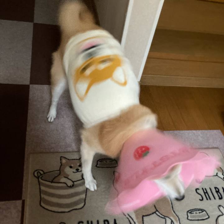 1878e793 ca93 4e2d 8f87 414bf7082c3e 1637648317789