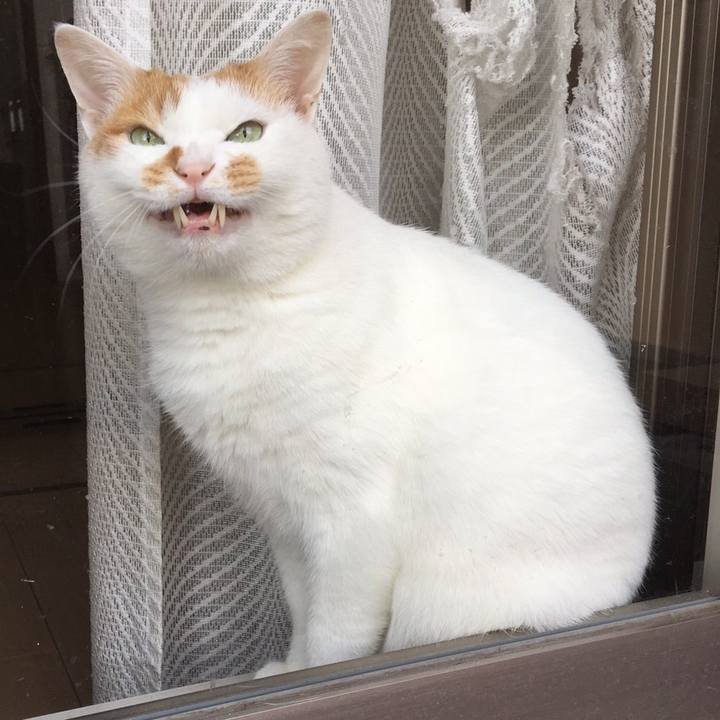 1878eabe 94e6 44c0 97a3 d9a303f65f2d 1512117844892