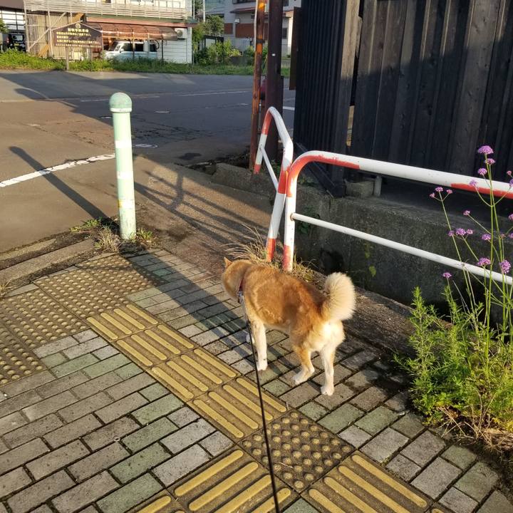 18794079 74b9 472d a402 8fdba675104d 1751447853962